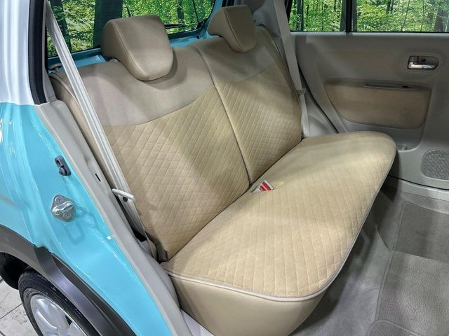 �㕔���Ȃ��C�ɂȂ�悤�ȃL�Y�E�����ւ��蓙�A�傫�ȃ_���[�W�͂Ȃ��A�ǍD�ȏ�Ԃł��B