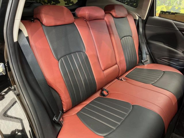 �㕔���Ȃ��C�ɂȂ�悤�ȃL�Y�E�����ւ��蓙�A�傫�ȃ_���[�W�͂Ȃ��A�ǍD�ȏ�Ԃł��B