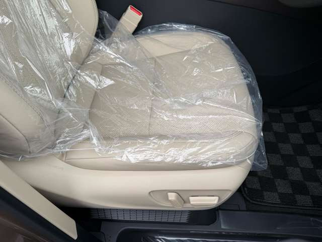 �^�]�ȁE�傫�Ȃ����ւ���Ȃǖ������ꂢ�ȏ�Ԃł��B