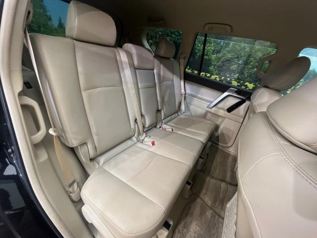 �㕔���Ȃ��C�ɂȂ�悤�ȃL�Y�E�����ւ��蓙�A�傫�ȃ_���[�W�͂Ȃ��A�ǍD�ȏ�Ԃł��B