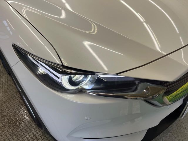 �y�V�[�P���V�����^�[�������v�t��LED�w�b�h���C�g�z�l�C�́w�����E�B���J�[�x�t����LED�w�b�h���C�g�𑕔��􍂋����͂������A�_�����͑��݊������Ղ�ő��Ԃ�����F������₷�����S�ł��B