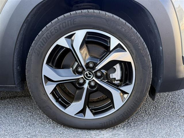 ���Ǝҗl�ւ̔̔��͂��f�肳���Ă��������܂��B �Ԍ������ԗ��̏ꍇ�́A�Ԍ����擾�������x�������z�ŕ\�����Ă���܂��B