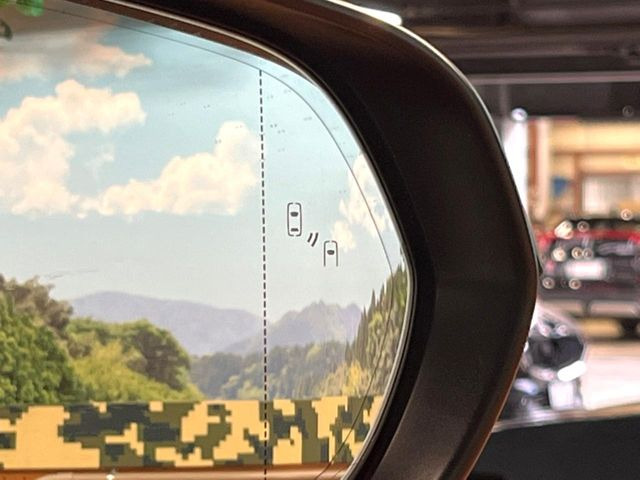 �y�u���C���h�X�|�b�g���j�^�[�z���s���A�h�A�~���[�̎��p�ɂȂ�₷���ӏ��Ɍ㑱�Ԃ��ڋ߂���ƃT�C�h�~���[�̃����Y�Ɍx����\��!�h���C�o�[�ɒ��ӊ��N�����Ă���܂��B