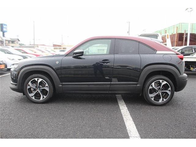 ���Ǝҗl�ւ̔̔��͂��f�肳���Ă��������܂��B �Ԍ������ԗ��̏ꍇ�́A�Ԍ����擾�������x�������z�ŕ\�����Ă���܂��B