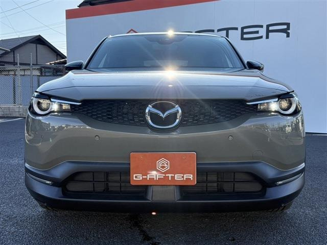 ���Ǝҗl�ւ̔̔��͂��f�肳���Ă��������܂��B �Ԍ������ԗ��̏ꍇ�́A�Ԍ����擾�������x�������z�ŕ\�����Ă���܂��B