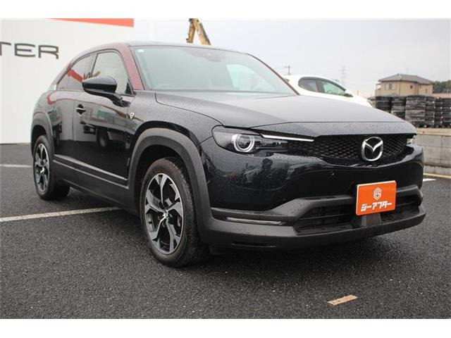 ���Ǝҗl�ւ̔̔��͂��f�肳���Ă��������܂��B �Ԍ������ԗ��̏ꍇ�́A�Ԍ����擾�������x�������z�ŕ\�����Ă���܂��B