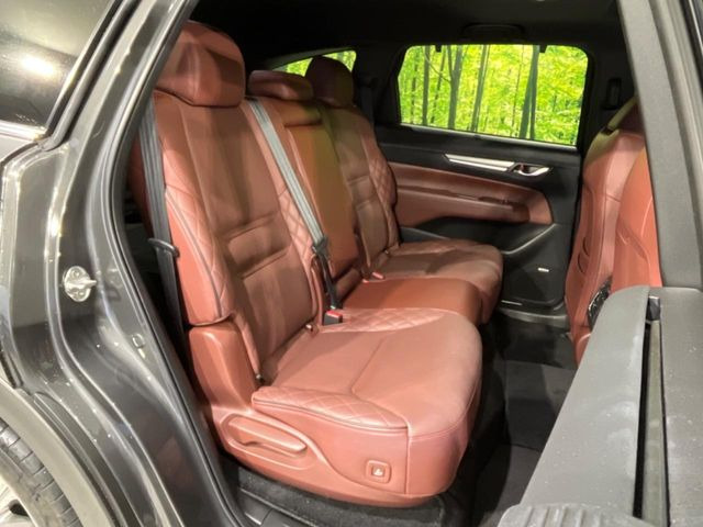 �㕔���Ȃ��C�ɂȂ�悤�ȃL�Y�E�����ւ��蓙�A�傫�ȃ_���[�W�͂Ȃ��A�ǍD�ȏ�Ԃł��B