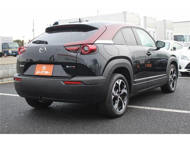 ���Ǝҗl�ւ̔̔��͂��f�肳���Ă��������܂��B �Ԍ������ԗ��̏ꍇ�́A�Ԍ����擾�������x�������z�ŕ\�����Ă���܂��B