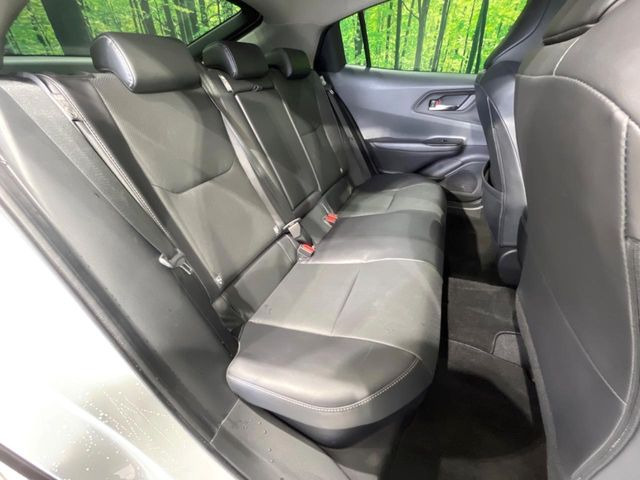 �㕔���Ȃ��C�ɂȂ�悤�ȃL�Y�E�����ւ��蓙�A�傫�ȃ_���[�W�͂Ȃ��A�ǍD�ȏ�Ԃł��B