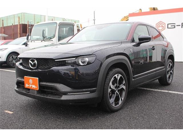 ���Ǝҗl�ւ̔̔��͂��f�肳���Ă��������܂��B �Ԍ������ԗ��̏ꍇ�́A�Ԍ����擾�������x�������z�ŕ\�����Ă���܂��B