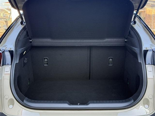 ���Ǝҗl�ւ̔̔��͂��f�肳���Ă��������܂��B �Ԍ������ԗ��̏ꍇ�́A�Ԍ����擾�������x�������z�ŕ\�����Ă���܂��B