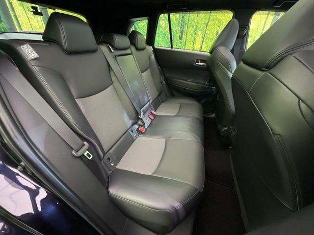 �㕔���Ȃ��C�ɂȂ�悤�ȃL�Y�E�����ւ��蓙�A�傫�ȃ_���[�W�͂Ȃ��A�ǍD�ȏ�Ԃł��B