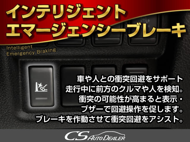 ���S�����~���g�G�}�[�W�F���V�[�u���[�L����!!�Փˈ��S�V�X�e���ƂȂ�h���C�o�[������肷��V�X�e���ł��B�Z�b�g�Œǔ��@�\�t�����[�_�[�N���[�Y�R���g���[������������!!