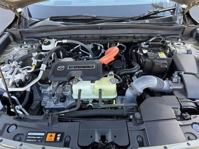 ���Ǝҗl�ւ̔̔��͂��f�肳���Ă��������܂��B �Ԍ������ԗ��̏ꍇ�́A�Ԍ����擾�������x�������z�ŕ\�����Ă���܂��B