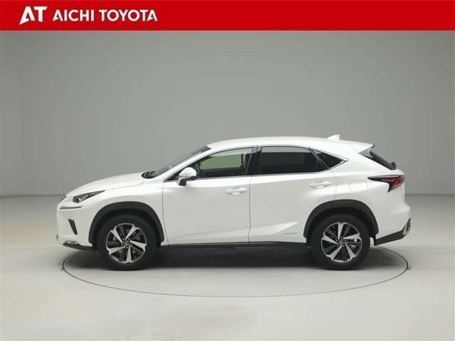 NX300h Iパッケージ