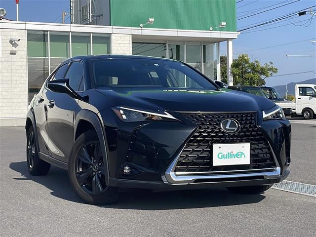 UX250h バージョンC