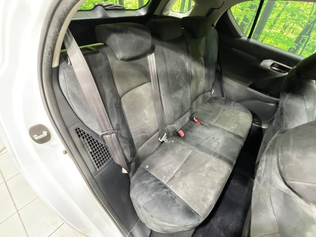 �㕔���Ȃ��C�ɂȂ�悤�ȃL�Y�E�����ւ��蓙�A�傫�ȃ_���[�W�͂Ȃ��A�ǍD�ȏ�Ԃł��B