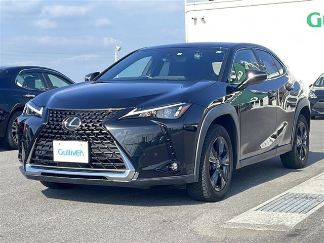 UX250h バージョンC