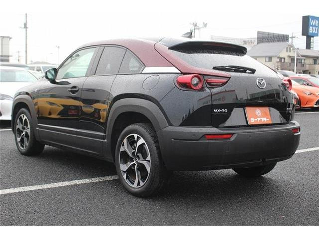 ���Ǝҗl�ւ̔̔��͂��f�肳���Ă��������܂��B �Ԍ������ԗ��̏ꍇ�́A�Ԍ����擾�������x�������z�ŕ\�����Ă���܂��B