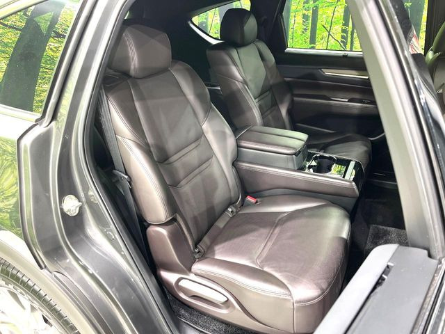 �㕔���Ȃ��C�ɂȂ�悤�ȃL�Y�E�����ւ��蓙�A�傫�ȃ_���[�W�͂Ȃ��A�ǍD�ȏ�Ԃł��B