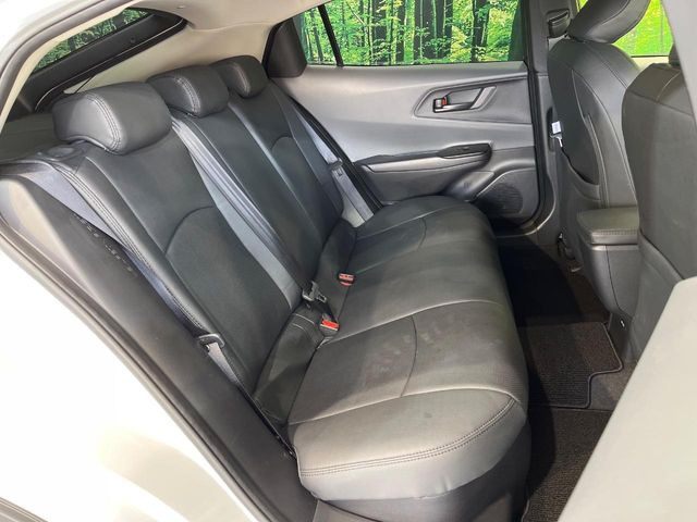 �㕔���Ȃ��C�ɂȂ�悤�ȏ��E�����ւ���ȂǁA�傫�ȃ_���[�W�͂Ȃ��A�ǍD�ȏ�Ԃł��B