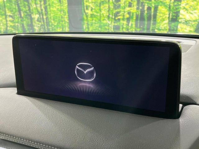 �yBO�T�E���h�V�X�e���t�������i�r�z�[���̃i�r�@�\�͂������A���x�ȃ`���[�j���O�\�͂����ڂ���Ă���A�������ȉ��y�����y���݂��������܂���