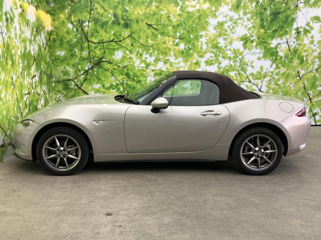 ロードスター1.5 ブラウン トップ