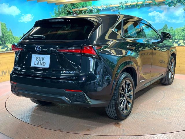 ���S���̃l�N�X�e�[�W���炨���񂹂��\��!�����̓X�܂ɓW�����Ă���N���}���C�ɂȂ�ꍇ���A�Ŋ��̓X�܂ł��������������Ƃ��\�ł�!���񎄂����ɗv�]������������������!���ʓr��p