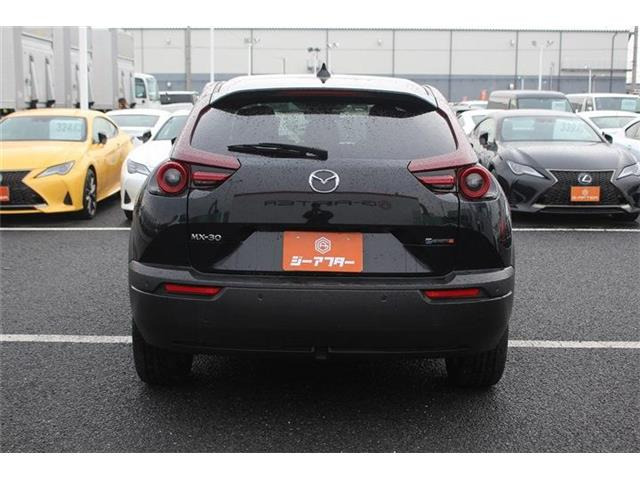 ���Ǝҗl�ւ̔̔��͂��f�肳���Ă��������܂��B �Ԍ������ԗ��̏ꍇ�́A�Ԍ����擾�������x�������z�ŕ\�����Ă���܂��B