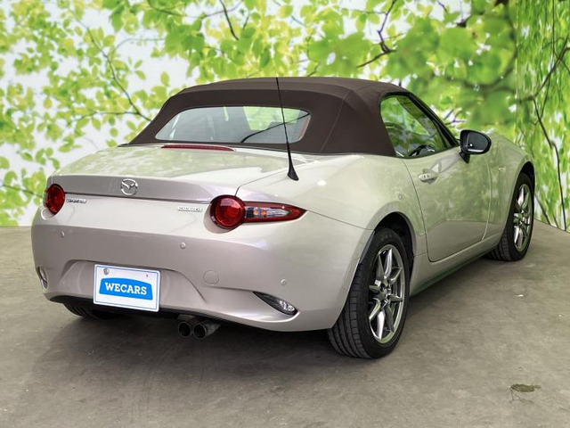 ロードスター1.5 ブラウン トップ