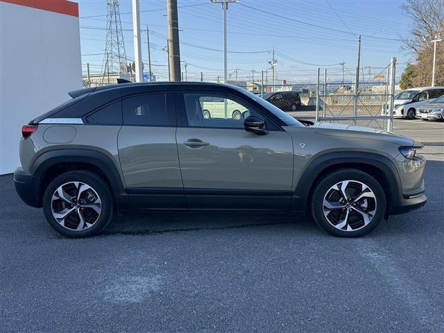 ���Ǝҗl�ւ̔̔��͂��f�肳���Ă��������܂��B �Ԍ������ԗ��̏ꍇ�́A�Ԍ����擾�������x�������z�ŕ\�����Ă���܂��B