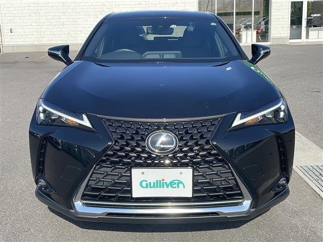 UX250h バージョンC