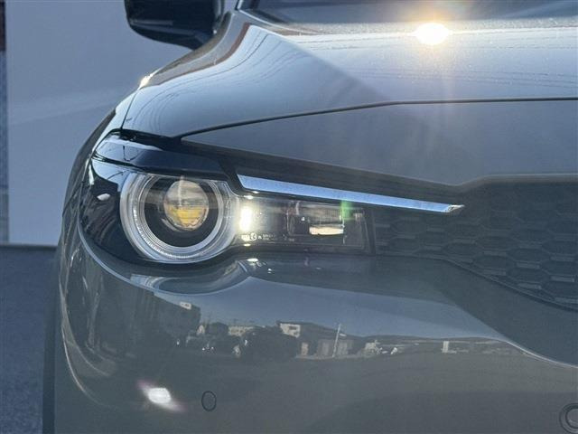 ���Ǝҗl�ւ̔̔��͂��f�肳���Ă��������܂��B �Ԍ������ԗ��̏ꍇ�́A�Ԍ����擾�������x�������z�ŕ\�����Ă���܂��B