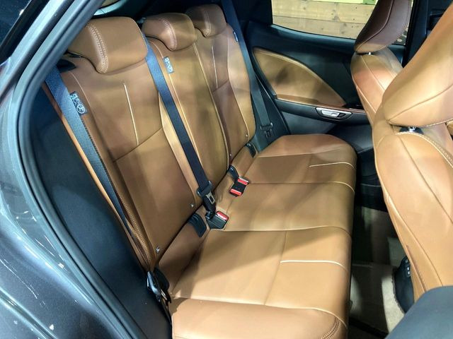 �㕔���Ȃ��C�ɂȂ�悤�ȃL�Y�E�����ւ��蓙�A�傫�ȃ_���[�W�͂Ȃ��A�ǍD�ȏ�Ԃł��B