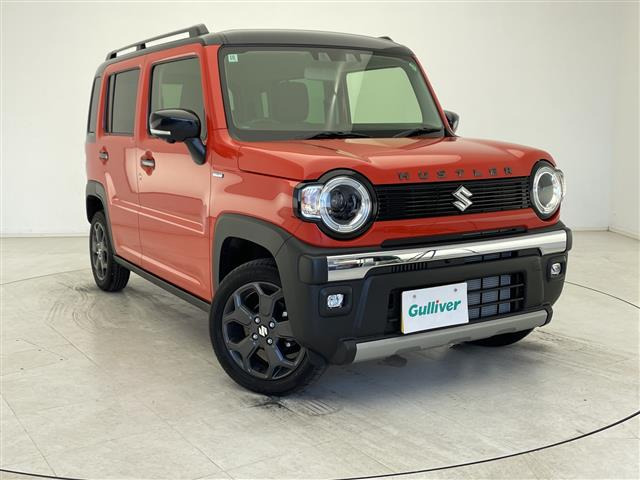 ハスラータフワイルド