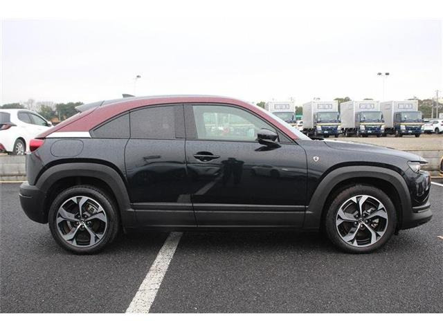 ���Ǝҗl�ւ̔̔��͂��f�肳���Ă��������܂��B �Ԍ������ԗ��̏ꍇ�́A�Ԍ����擾�������x�������z�ŕ\�����Ă���܂��B