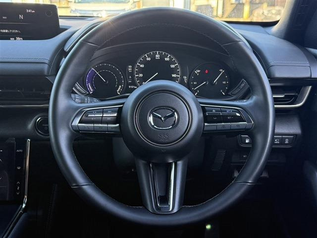 ���Ǝҗl�ւ̔̔��͂��f�肳���Ă��������܂��B �Ԍ������ԗ��̏ꍇ�́A�Ԍ����擾�������x�������z�ŕ\�����Ă���܂��B