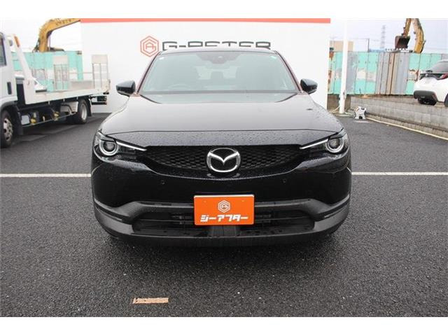 ���Ǝҗl�ւ̔̔��͂��f�肳���Ă��������܂��B �Ԍ������ԗ��̏ꍇ�́A�Ԍ����擾�������x�������z�ŕ\�����Ă���܂��B