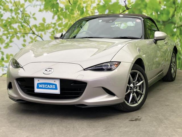 ロードスター1.5 ブラウン トップ