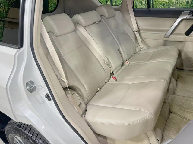 �㕔���Ȃ��C�ɂȂ�悤�ȃL�Y�E�����ւ��蓙�A�傫�ȃ_���[�W�͂Ȃ��A�ǍD�ȏ�Ԃł��B