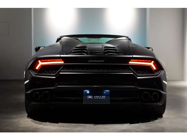 �o�b�N�J����