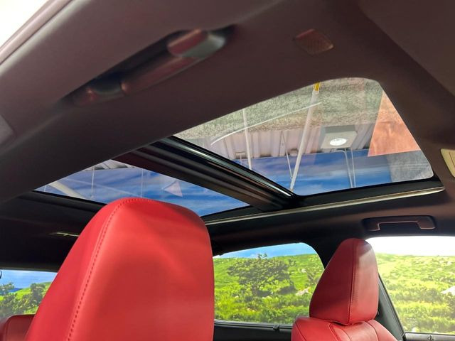 �y�T�����[�t�z�J���������Ղ�̊󏭑����A�T�����[�t����������Ă��܂�!�ԓ��ɖ�����������ꂽ��i�F���y���ވȊO�ɂ��A�ԓ��̋�C���ȒP�Ɋ��C�ł��ĉ��K�ł�!