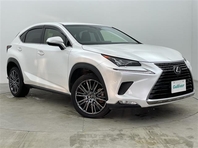 NX300 Iパッケージ