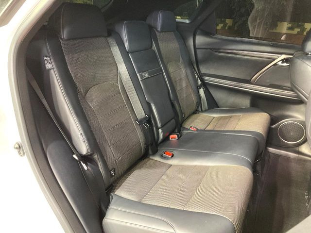 �㕔���Ȃ��C�ɂȂ�悤�ȃL�Y�E�����ւ��蓙�A�傫�ȃ_���[�W�͂Ȃ��A�ǍD�ȏ�Ԃł��B