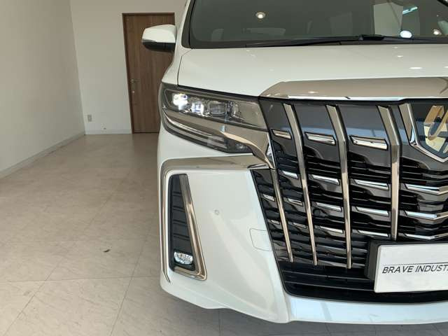 ��ԑ��s��R�����s�ł����E�ǍD��LED�w�b�h���C�g&LED�t�H�O�����v�t��!