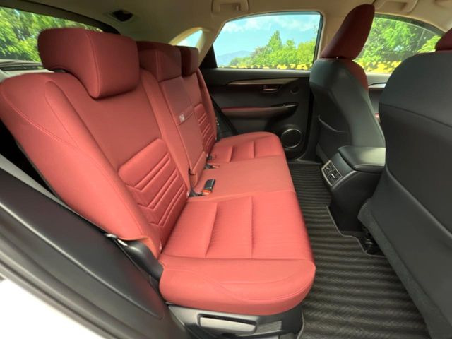 �㕔���Ȃ��C�ɂȂ�悤�ȃL�Y�E�����ւ��蓙�A�傫�ȃ_���[�W�͂Ȃ��A�ǍD�ȏ�Ԃł��B