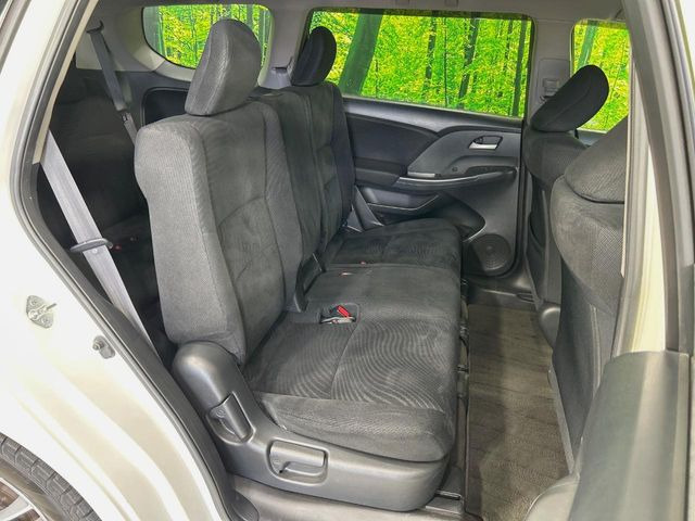 �㕔���Ȃ��C�ɂȂ�悤�ȃL�Y�E�����ւ��蓙�A�傫�ȃ_���[�W�͂Ȃ��A�ǍD�ȏ�Ԃł��B