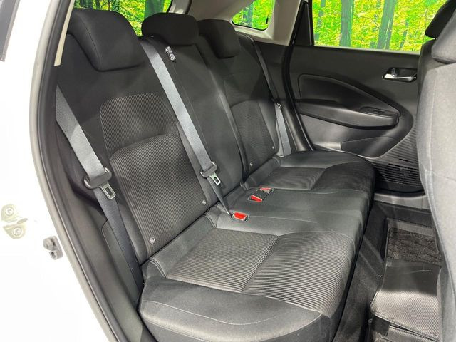 �㕔���Ȃ��C�ɂȂ�悤�ȃL�Y�E�����ւ��蓙�A�傫�ȃ_���[�W�͂Ȃ��A�ǍD�ȏ�Ԃł��B