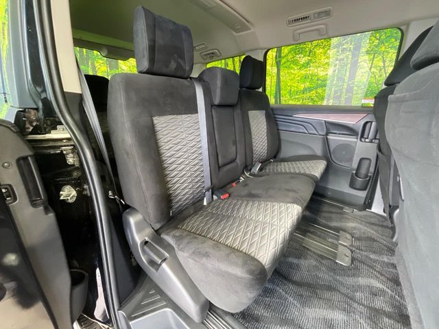 �㕔���Ȃ��C�ɂȂ�悤�ȃL�Y�E�����ւ��蓙�A�傫�ȃ_���[�W�͂Ȃ��A�ǍD�ȏ�Ԃł��B