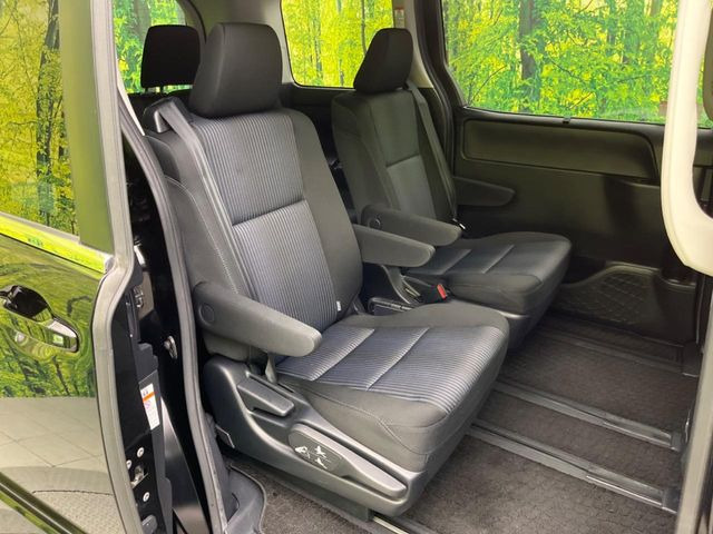 �㕔���Ȃ��C�ɂȂ�悤�ȃL�Y�E�����ւ��蓙�A�傫�ȃ_���[�W�͂Ȃ��A�ǍD�ȏ�Ԃł��B